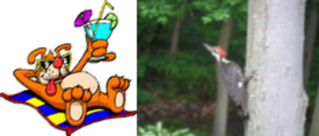 ../../../_images/pyvista-ImageDataFilters-concatenate-d25eb32358cc961f_02_00.png