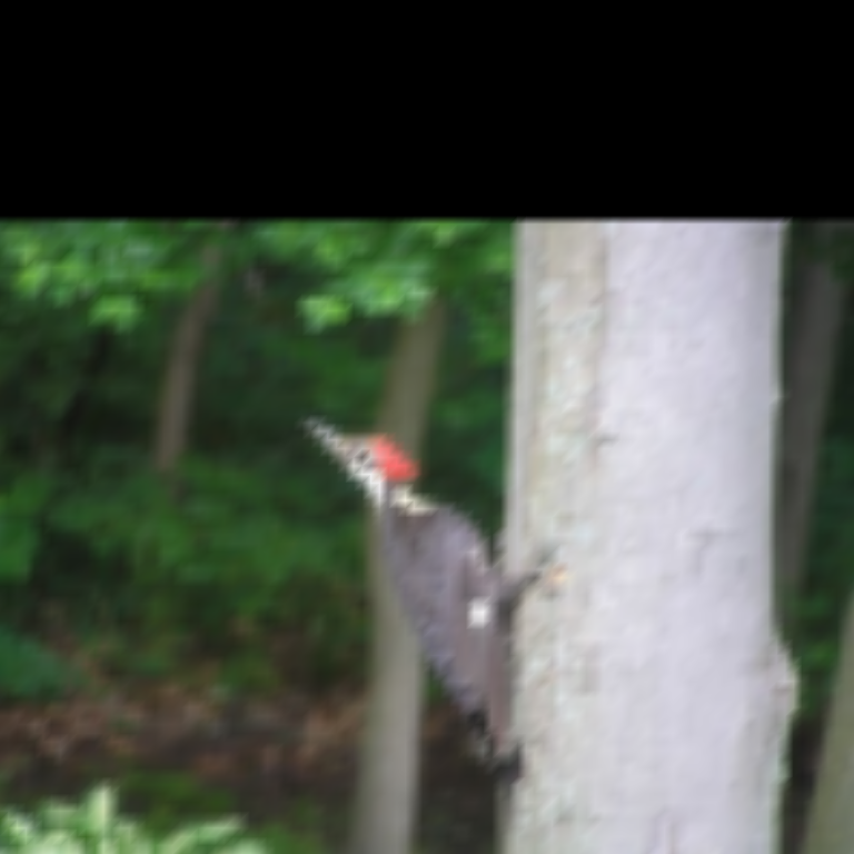 ../../../_images/pyvista-ImageDataFilters-concatenate-d25eb32358cc961f_03_00.png