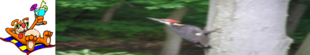 ../../../_images/pyvista-ImageDataFilters-concatenate-d25eb32358cc961f_04_00.png