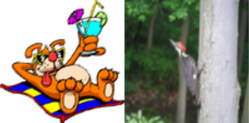../../../_images/pyvista-ImageDataFilters-concatenate-d25eb32358cc961f_05_00.png
