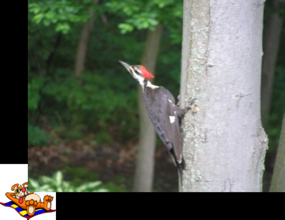 ../../../_images/pyvista-ImageDataFilters-concatenate-d25eb32358cc961f_07_00.png