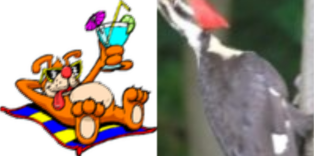 ../../../_images/pyvista-ImageDataFilters-concatenate-d25eb32358cc961f_11_00.png