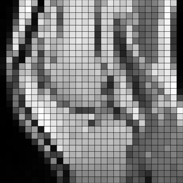 ../../../_images/pyvista-ImageDataFilters-resample-f80fa3aa52cf8e6d_10_00.png