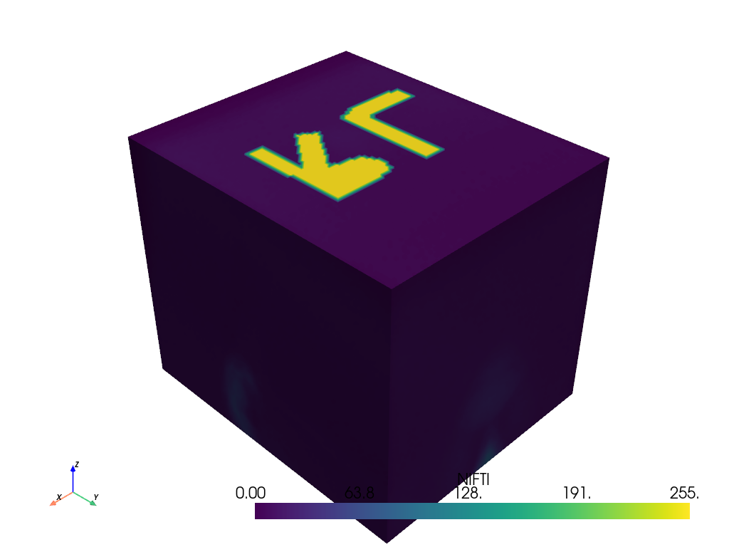 ../../../_images/pyvista-NIFTIReader-3f394168368ac0ef_00_00.png