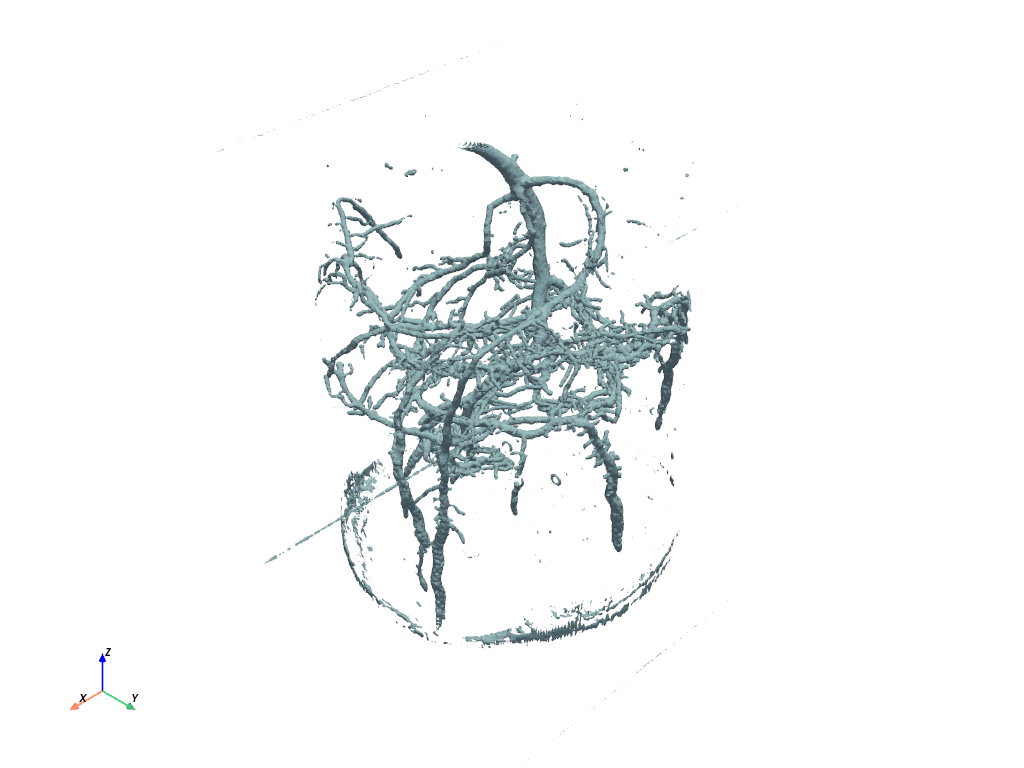 ../../../_images/pyvista-examples-downloads-download_pine_roots-73dbf70daf54eb71_00_00.png