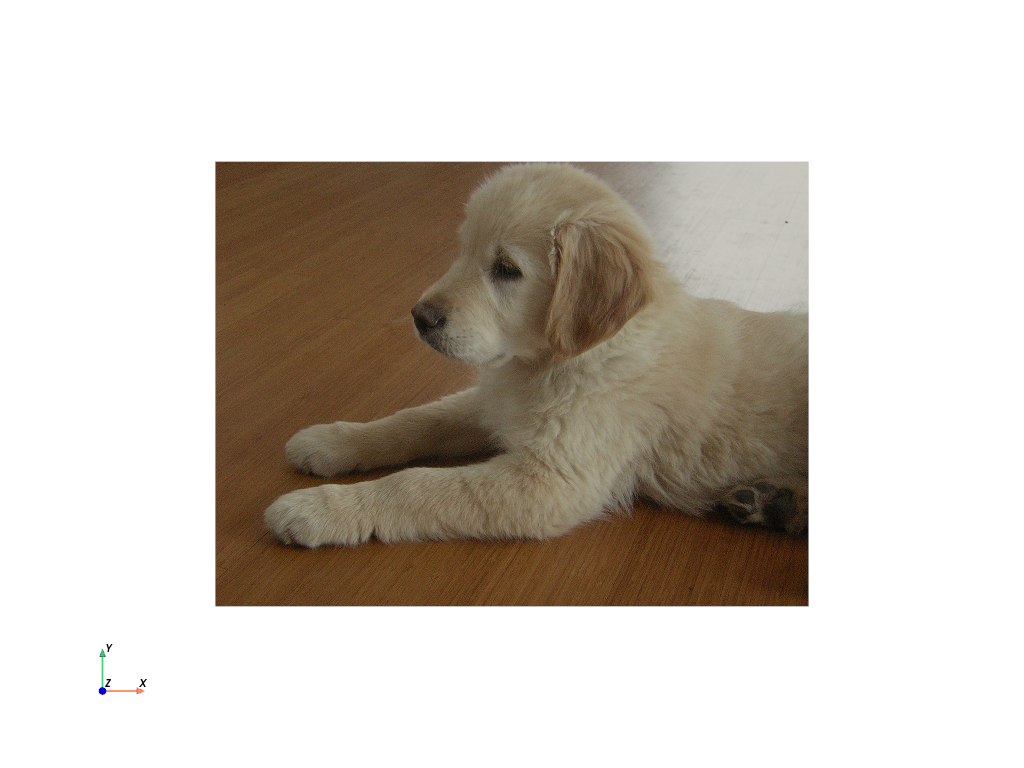 ../../../_images/pyvista-examples-downloads-download_puppy-61cc7797a39c97f5_00_00.png