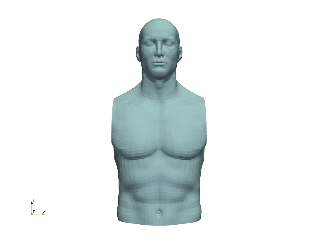 ../../../_images/pyvista-examples-downloads-download_torso-c5e3d46115906ead_00_00.png