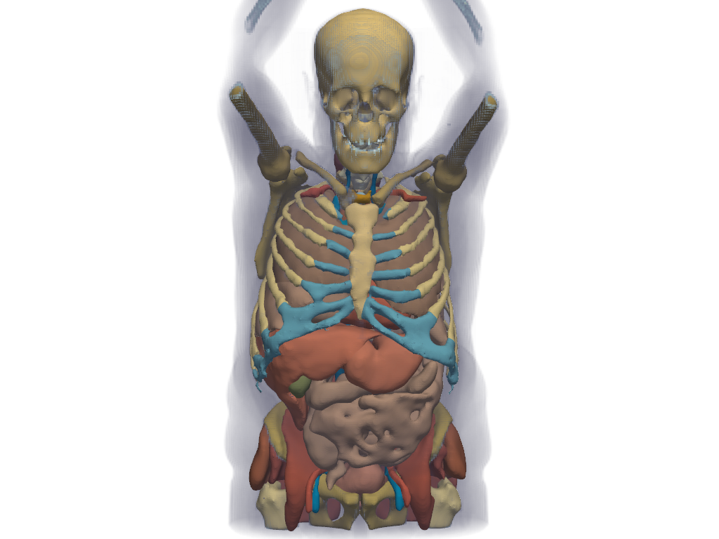 ../../../_images/pyvista-examples-downloads-download_whole_body_ct_male-9511ada8603c5140_00_00.png