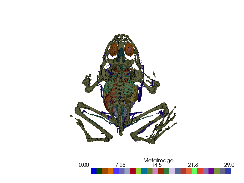../../../_images/pyvista-examples-examples-load_frog_tissues-dcd3c7033e4e8954_00_00.png