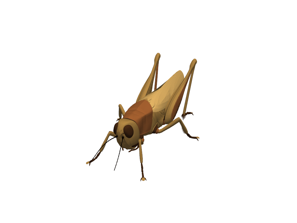 ../../../_images/pyvista-examples-vrml-download_grasshopper-eb03c6e5d0e1effd_00_00.png