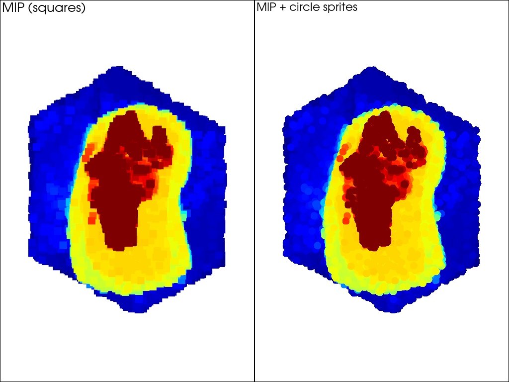maximum intensity projection