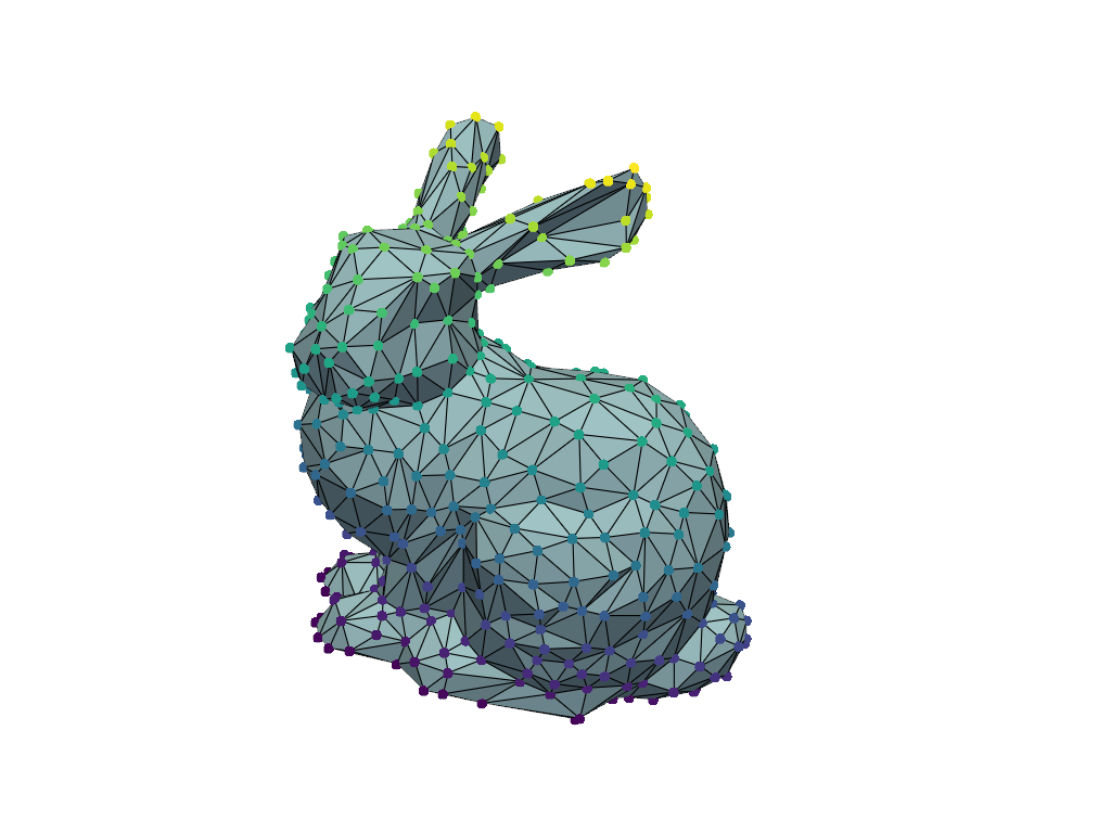 vertices