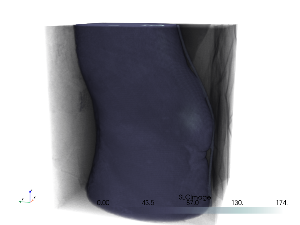 volume rendering