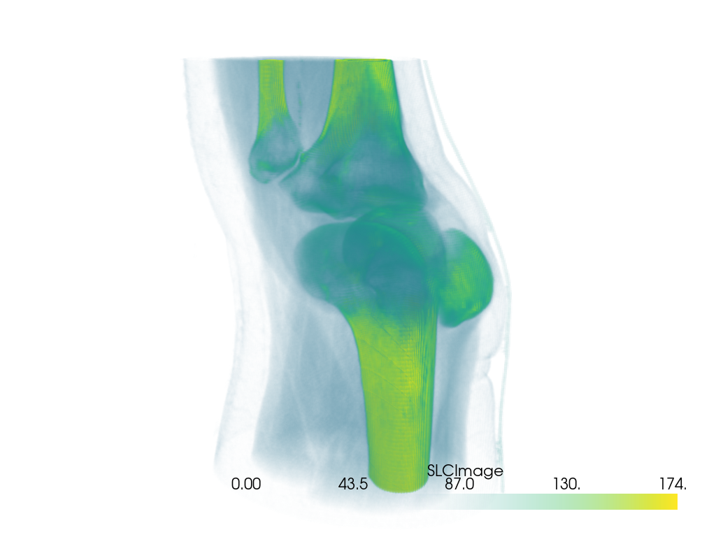 volume rendering