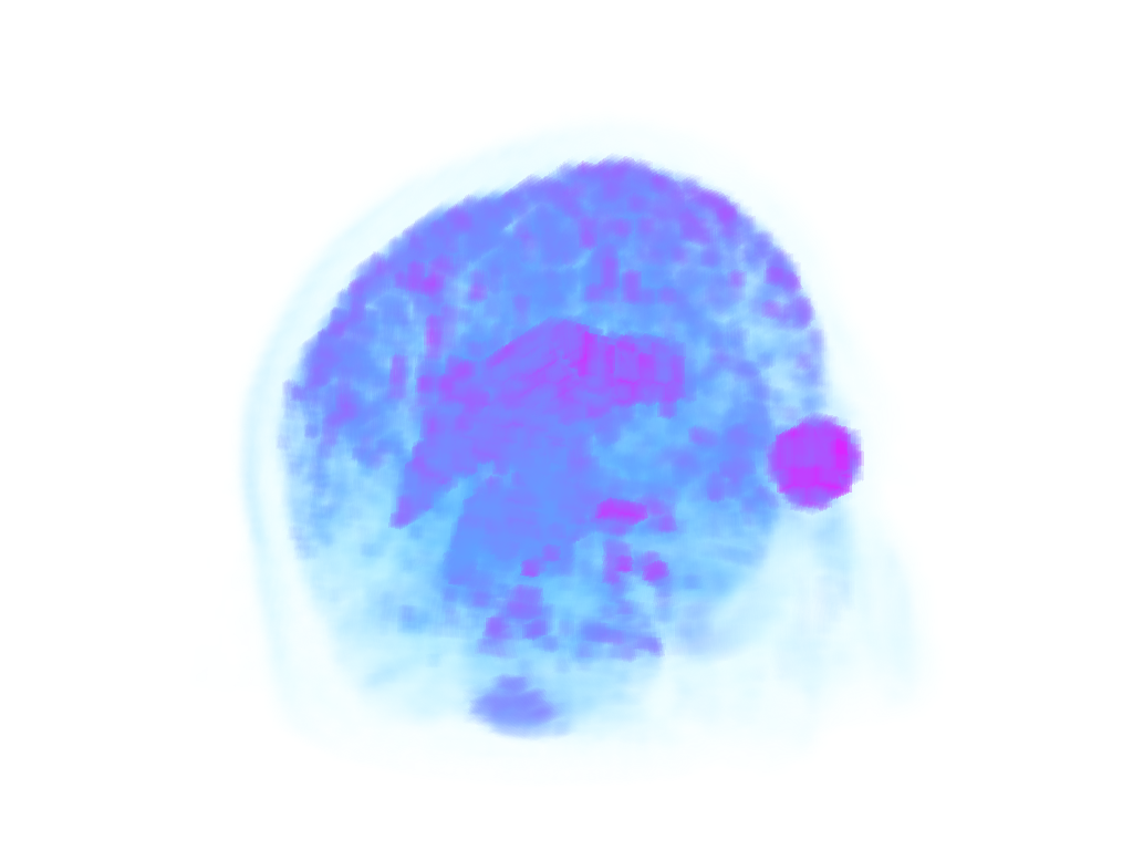 volume rendering