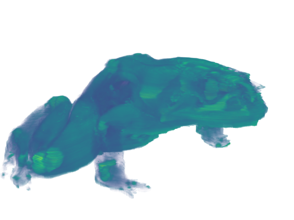 volume rendering