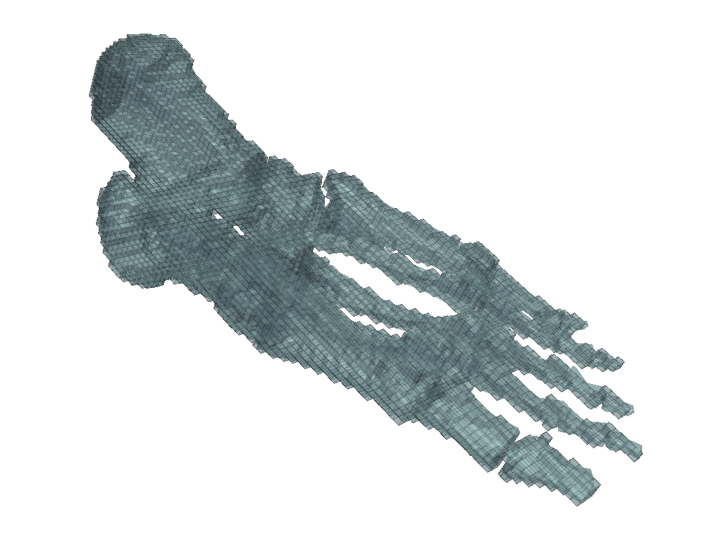 voxelize